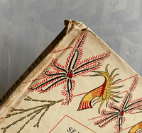 Image 14 of Copy of Seashore Life and Pattern T. A. Stephenson (C)