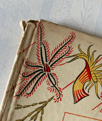 Image 16 of Copy of Seashore Life and Pattern T. A. Stephenson (C)