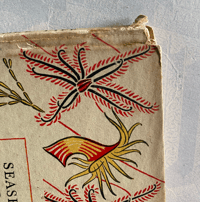 Image 17 of Copy of Seashore Life and Pattern T. A. Stephenson (C)