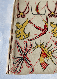 Image 18 of Copy of Seashore Life and Pattern T. A. Stephenson (C)