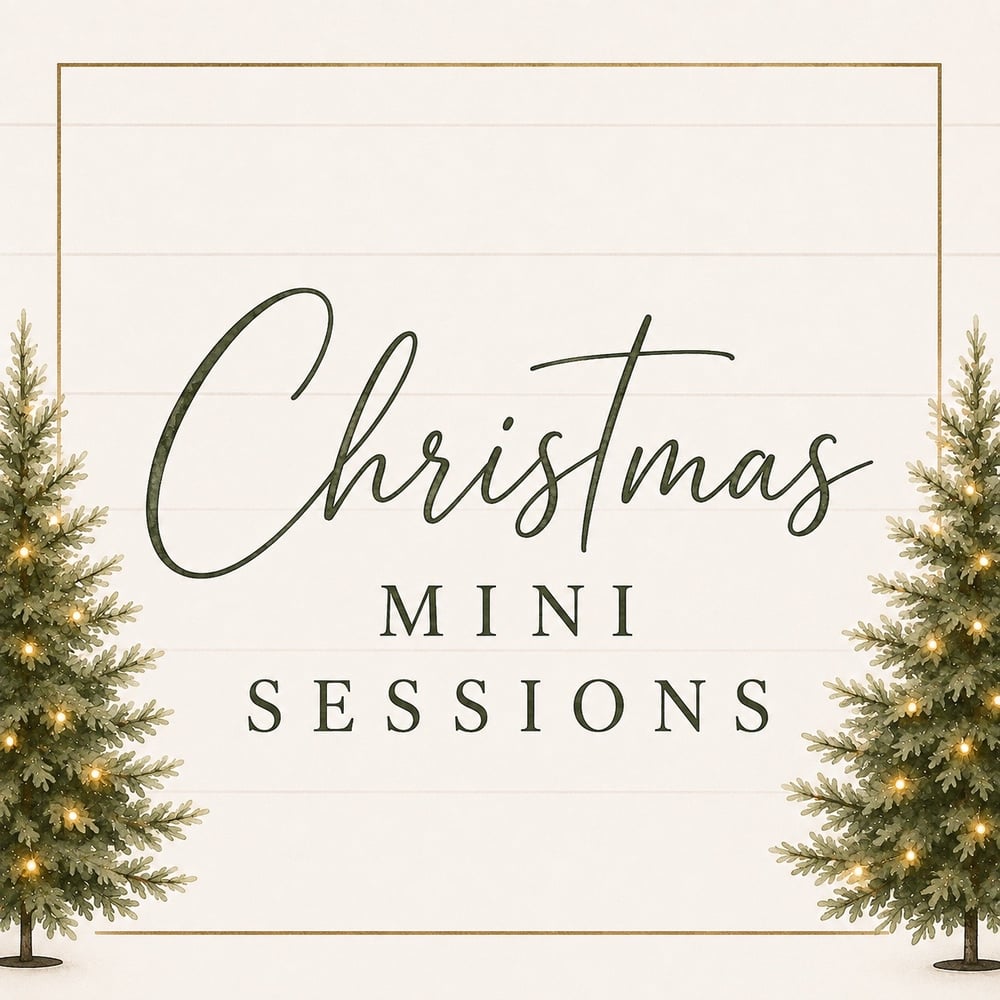 Image of Studio Christmas Mini Sessions - November 22nd