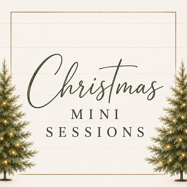 Image of Studio Christmas Mini Sessions - November 22nd