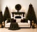 Image of Studio Christmas Mini Sessions - November 22nd