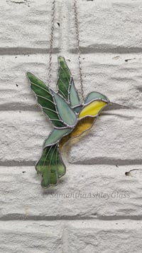 Image 4 of Hummingbird - Iridescent Green & Yellow