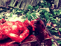 Image 3 of The Decay of Innocence DVD ($20.00 USD)