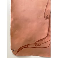 Image 6 of Goanna