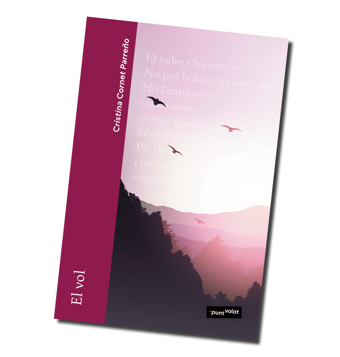 Image of El vol, de Cristina Cornet
