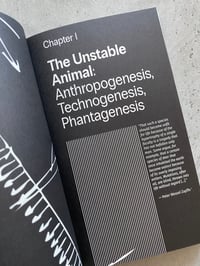 Image 3 of Retrograde Prometheus: Subjectivity & Computation by CHRISTIAN NIRVANA DAMATO