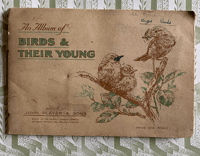 Image 1 of An Album of Birds & Their Young