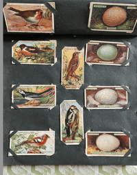 Image 5 of Vintage Cigarette Card Album