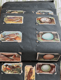 Image 7 of Vintage Cigarette Card Album