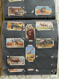 Image 12 of Vintage Cigarette Card Album