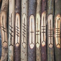 Image 4 of Tree Speak Corresponding Ogham Staves (D060-23)