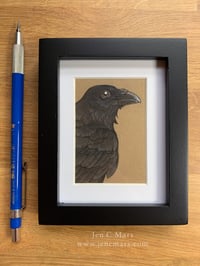 Raven - Framed Original