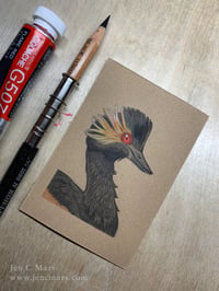 Image 1 of Eared Grebe - Framed Original