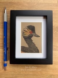 Image 2 of Eared Grebe - Framed Original