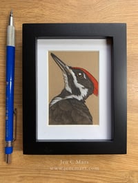Image 2 of Pileated Woodpecker - Framed Original