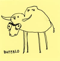 Buffalo 