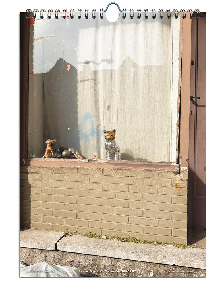 Image of Cats and Dogs in the Window • 2027 CALENDAR