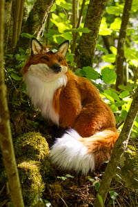 Image 4 of Nogitsune (野狐) poseable art doll [PREORDER]