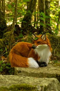 Image 1 of Nogitsune (野狐) poseable art doll [PREORDER]