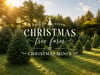 Christmas Mini Sessions