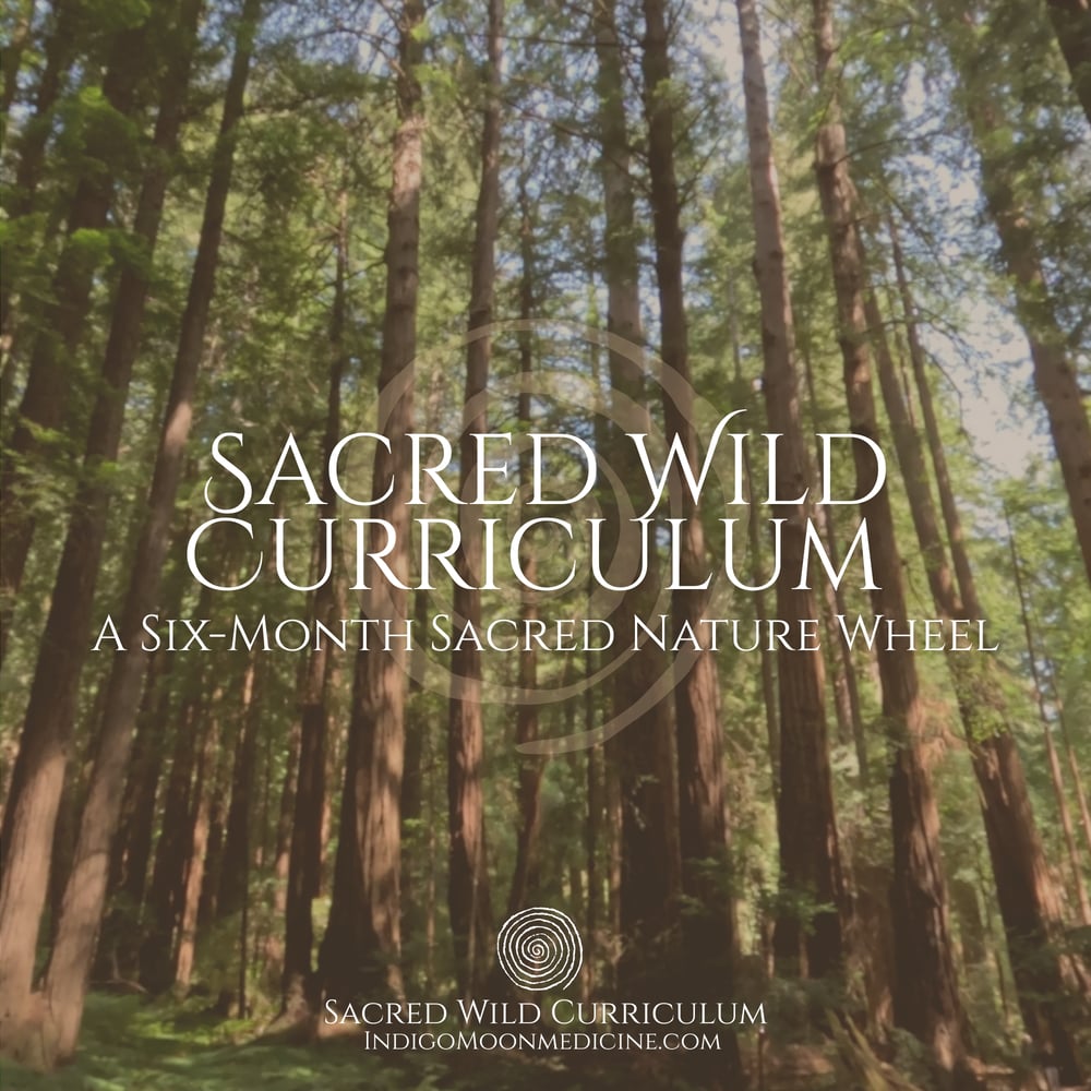 Image of Sacred Wild Curriculum