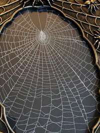 Image 2 of Spider web frame with a preserved web