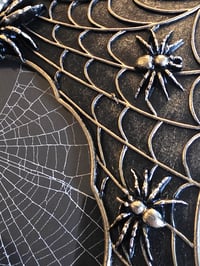 Image 3 of Spider web frame with a preserved web