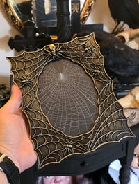 Image 1 of Spider web frame with a preserved web