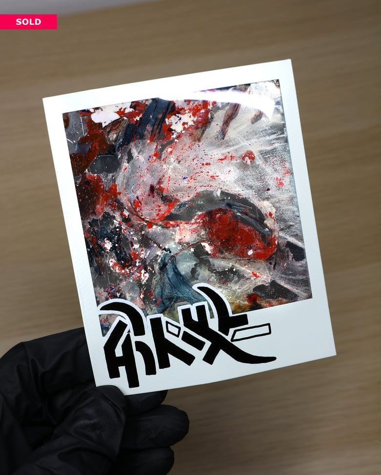 Image of CHROME Polaroid "ACARDIA"
