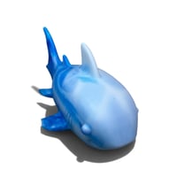 Image 3 of SHARKS!!!!