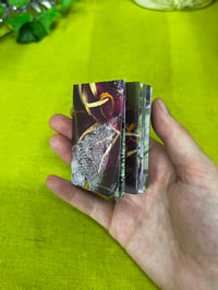 Image 2 of ‘all my pretty things will rot’ mini photo zine