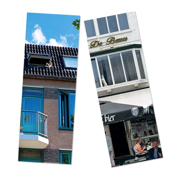 Image of Cats and Dogs in the Window- bookmarks (2)