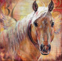 Matagi of the Days are Numbered Collection by Tammy Mercier