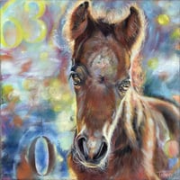 Junior of the Days are Numbered Collection by Tammy Mercier