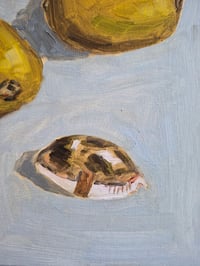 Image 2 of Two Kiwis and a Cowrie