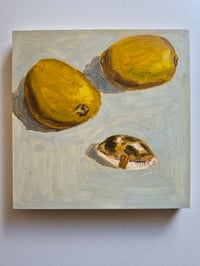Image 1 of Two Kiwis and a Cowrie