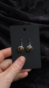 Image 3 of Ladybird earrings