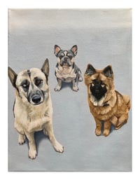 Portrait for Maclin