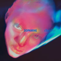 Image 1 of Fontaines D.C. - Dopamine Chamber