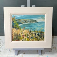 Summer at Ballard Cliffs
