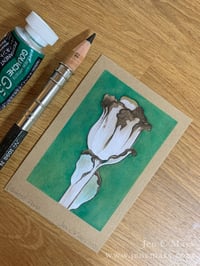 Image 1 of Ghost Pipe - Framed Original