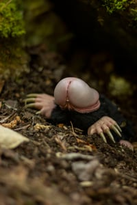 Image 2 of Wagōjin no ogoromochi (和合神のおごろもち) poseable art doll [PREORDER]