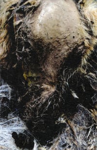 *PRE-ORDER* Mania - Decrepit CS (Freak Animal)
