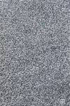 MOT SALE EXCLUSIVE!!! “Pigeon head Chaos…”