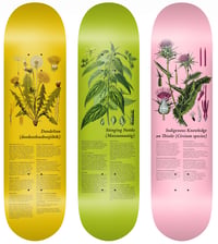 Image 1 of Indigenous Medicine Plant Series - Package