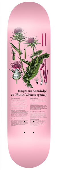 Image 4 of Indigenous Medicine Plant Series - Package