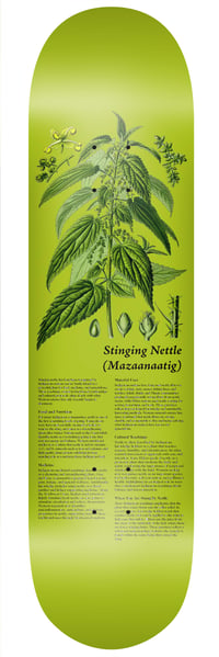 Image 3 of Indigenous Medicine Plant Series - Package