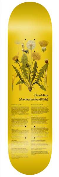 Image 2 of Indigenous Medicine Plant Series - Package